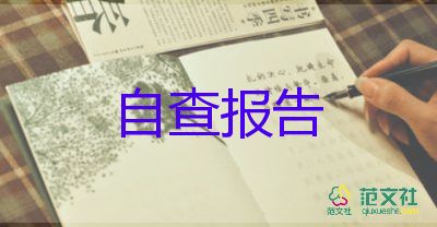 個人對標自查報告優(yōu)質(zhì)6篇