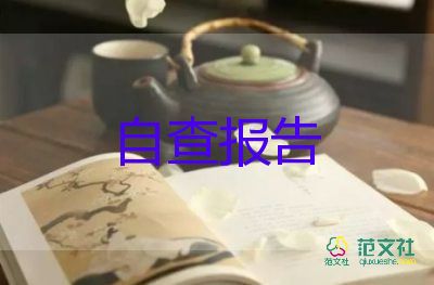 村支部書記個(gè)人述職報(bào)告6篇