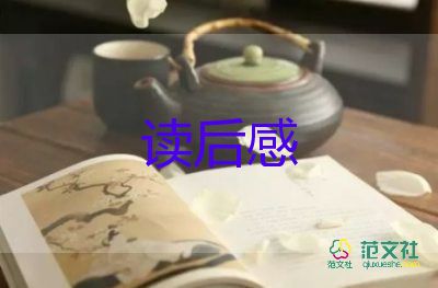 詩(shī)詞大會(huì)讀后感7篇