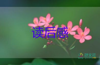 讀書石讀后感最新8篇