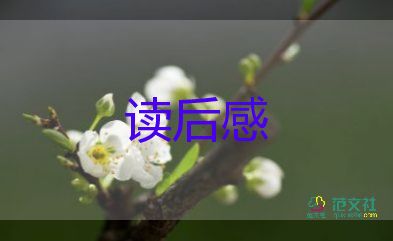 湯姆索亞歷險(xiǎn)記讀后感500字13篇