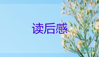 讀了小狐貍的書讀后感7篇