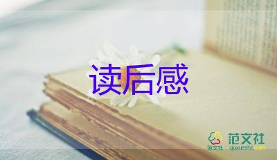 老人與海讀后感200字6篇