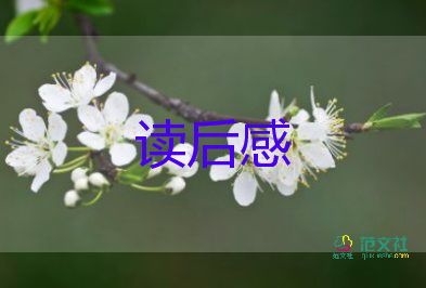 給鄉(xiāng)孩子的信讀后感模板7篇