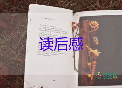 長(zhǎng)篇小說追風(fēng)箏的人讀后感優(yōu)秀范文3篇