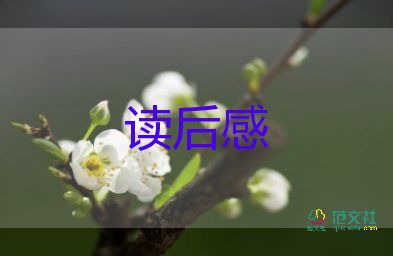 當(dāng)下的風(fēng)讀后感5篇