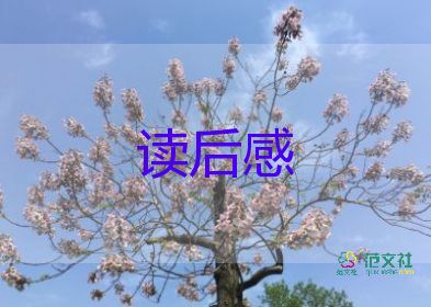 《中國詩詞大會》觀后感優(yōu)秀范文3篇