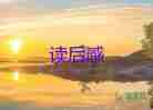 王夢(mèng)讀后感300字5篇