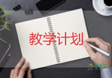 政治教學(xué)反思參考6篇