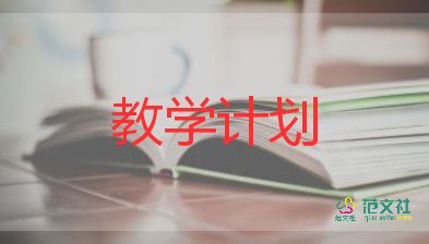 19教學(xué)反思模板5篇