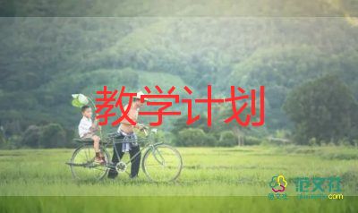 2023年個(gè)人教學(xué)工作總結(jié)精選6篇