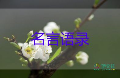 俄烏變局24小時，解密俄烏談判背后真相