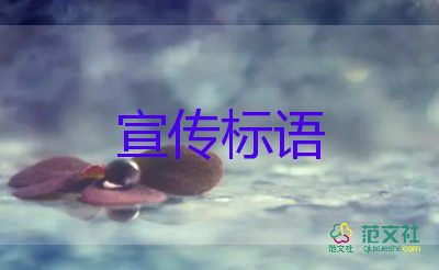 宜家上海楊浦店將于7月將關(guān)閉，商場(chǎng)服務(wù)心得體會(huì)3篇