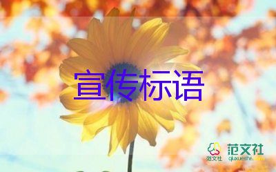 教育部作出回應(yīng)：中小學(xué)將全面開啟“線上教學(xué)”？