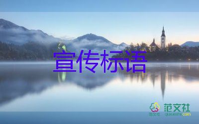 上海：一定要把疫情造成的損失補(bǔ)回來，疫情防控心得體會(huì)3篇