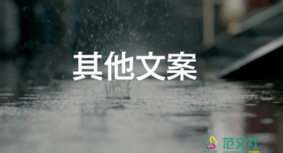 人教版的數(shù)學教材插畫遭到吐槽，小學教學個人工作總結3篇