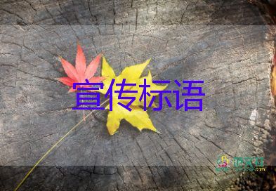 精選關(guān)于網(wǎng)絡(luò)安全宣傳標(biāo)語最新40句