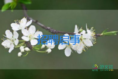 校園招聘活動總結(jié)5篇