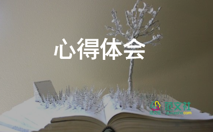 交流教師心得模板5篇