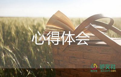 2022實(shí)習(xí)心得體會(huì)7篇