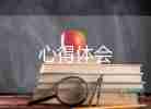 小學語文培訓站培訓心得優(yōu)質(zhì)8篇