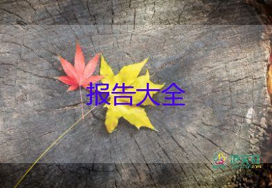 大學(xué)生調(diào)研報告6篇