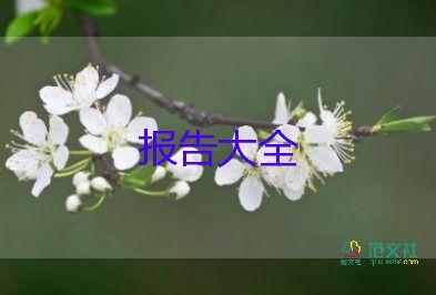 實用版關(guān)于2022員工轉(zhuǎn)正述職報告范文4篇