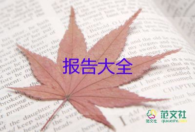 實踐調研報告范文6篇