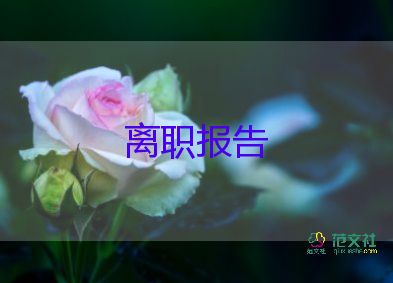 學(xué)校教師辭職申請書范文5篇