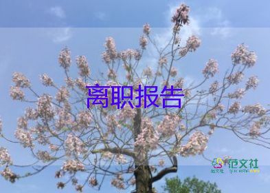 離職的申請(qǐng)書(shū)優(yōu)質(zhì)8篇