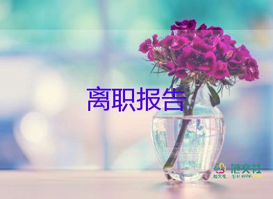 個人護(hù)士辭職報告范文6篇