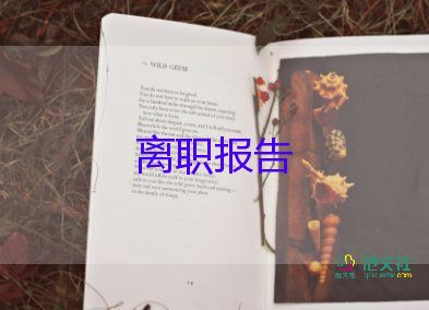 醫(yī)師辭職報(bào)告書，醫(yī)院辭職報(bào)告書10篇