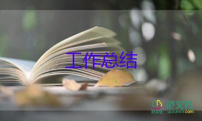 2024年工作活動總結(jié)范文最新5篇