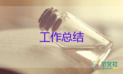 會計年度工作總結(jié)及下一年工作計劃3篇