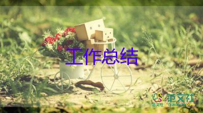 簡要工作總結(jié)7篇