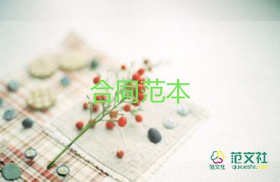 企業(yè)借個(gè)人款合同8篇