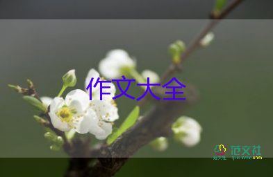 好書伴我成長(zhǎng)作文400字通用5篇