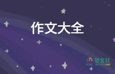 星期天作文500字6篇