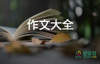 你,溫暖了我作文500字6篇