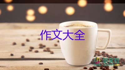 我的同學(xué)我的班作文800字6篇