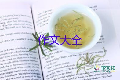 有關(guān)描寫長城的作文800字優(yōu)秀范文4篇