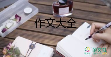 我的媽媽作文800字7篇